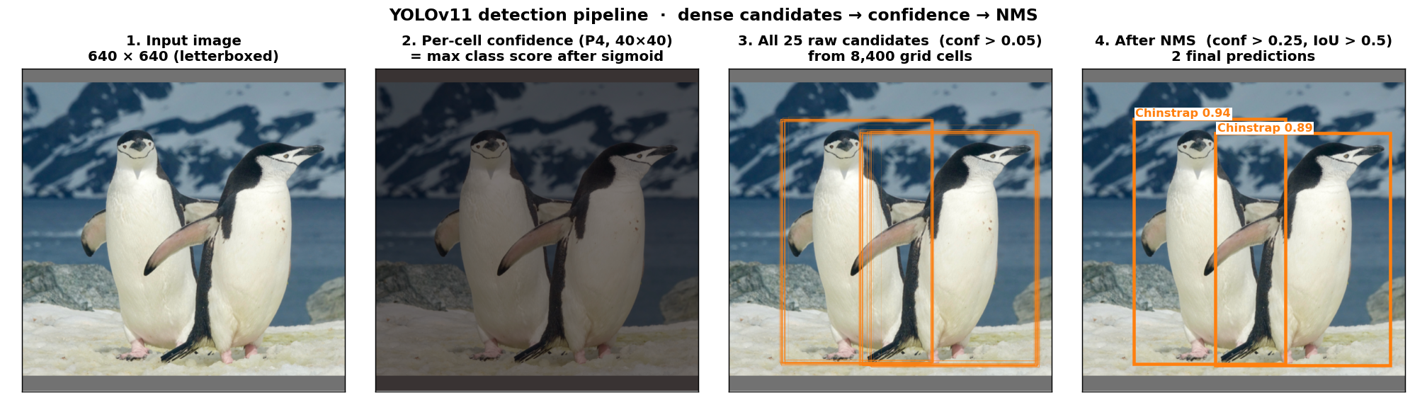 real detection pipeline: conf heatmap → raw boxes → NMS