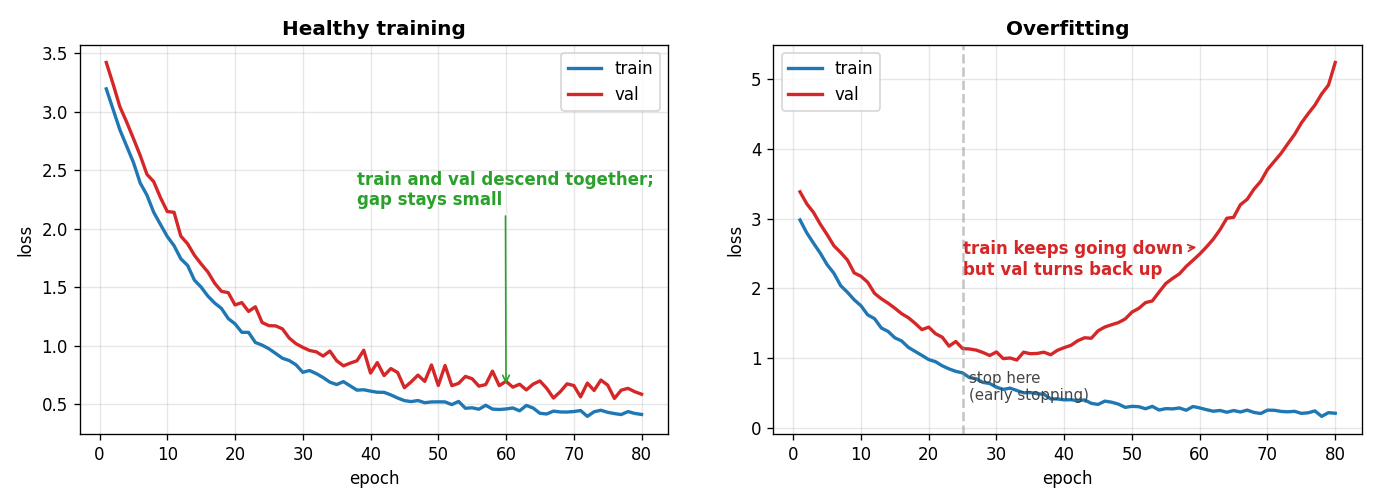 healthy vs overfitting