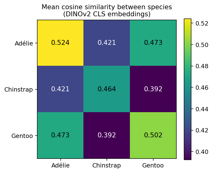 similarity matrix