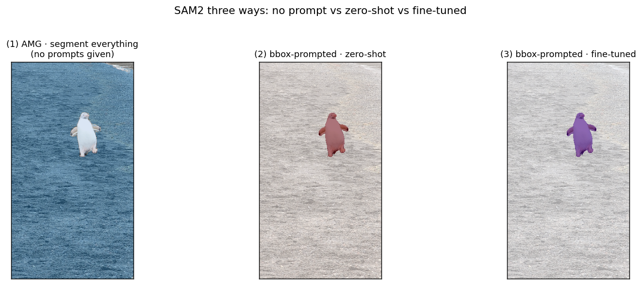 SAM2 three-way comparison