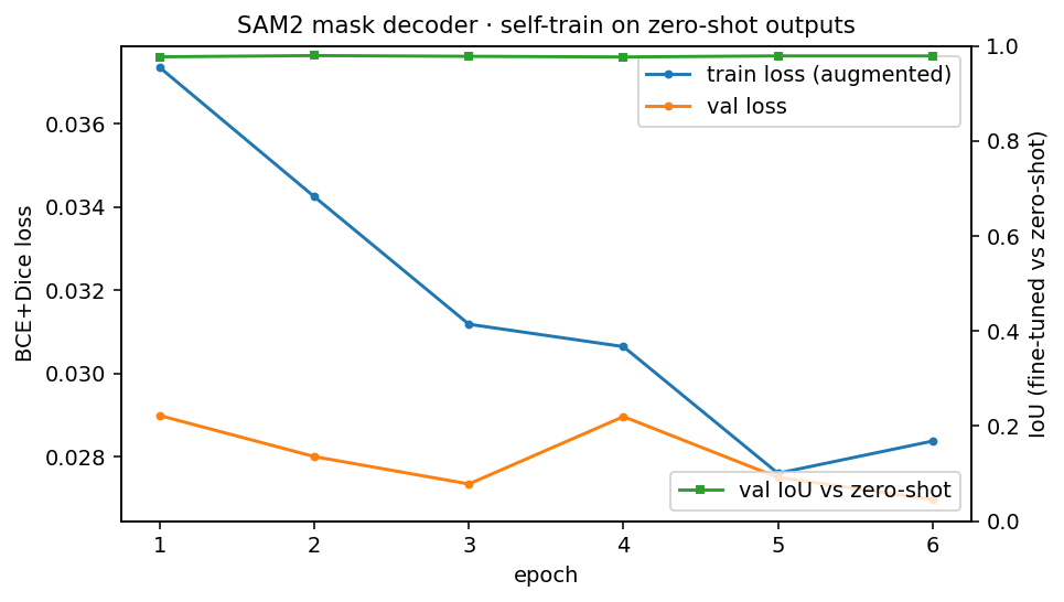 SAM2 fine-tune training curve