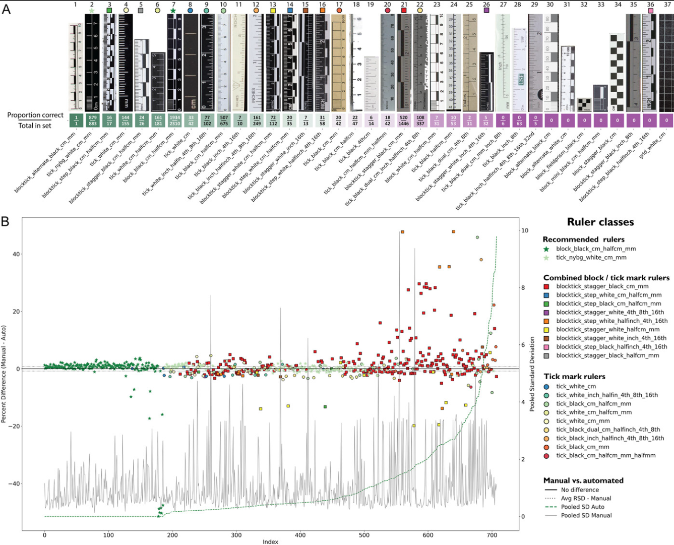 LeafMachine2 pixel-to-metric conversion accuracy across ruler types