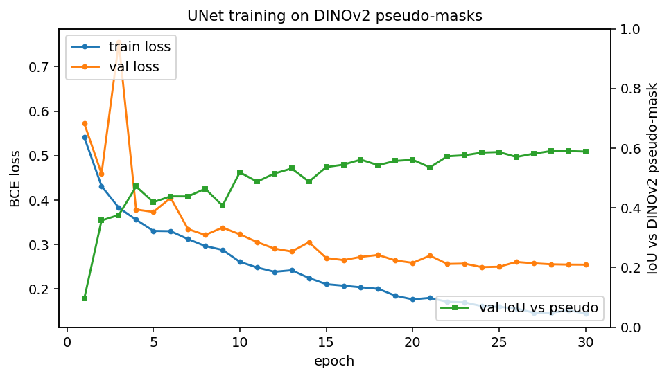 training curve